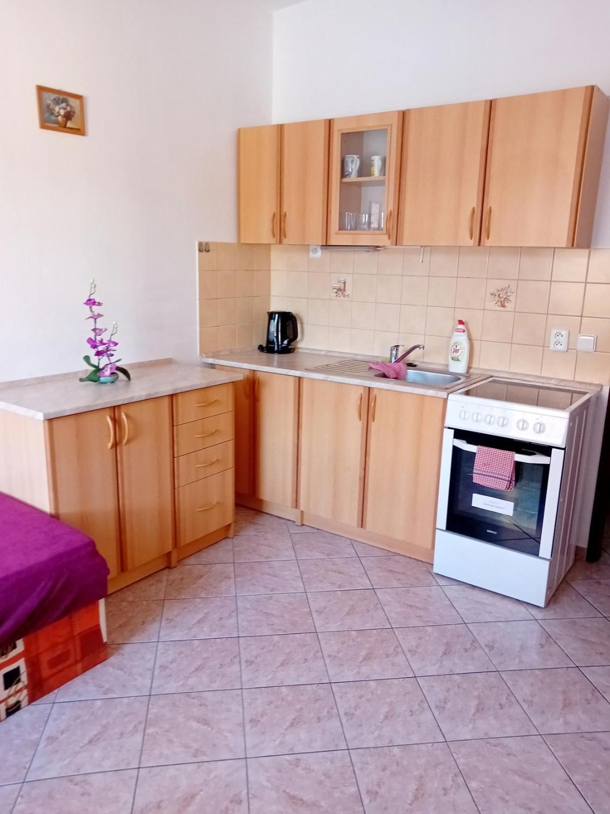 Ubytovani Sušice Extérieur photo