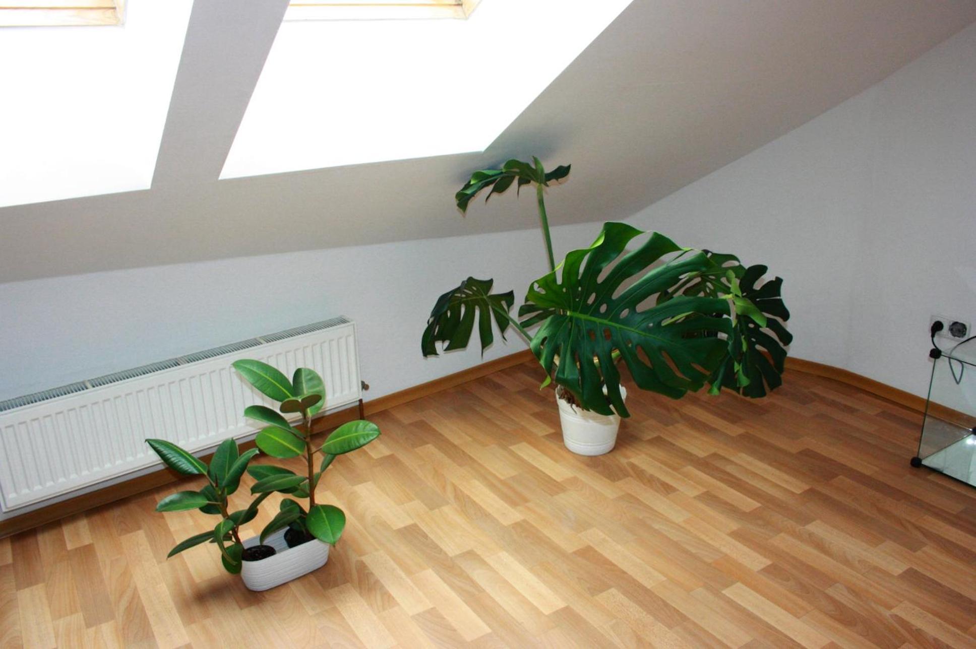 Ubytovani Sušice Extérieur photo
